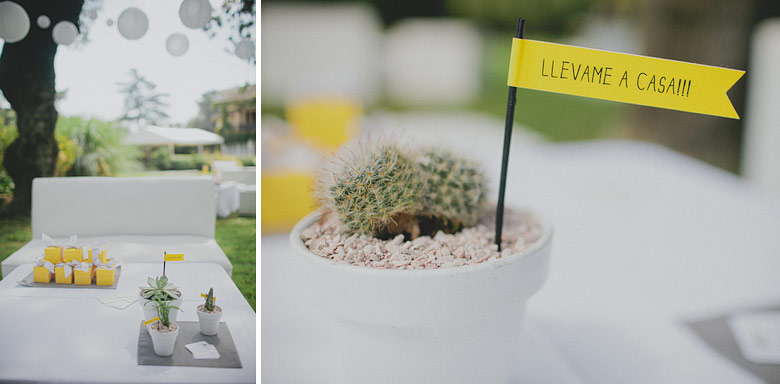 Cactus souvenires de boda